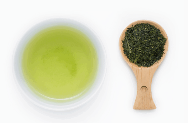 01 Sencha